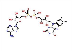 Flavinas Adeninas Dinukleotidas CAS 146-14-5